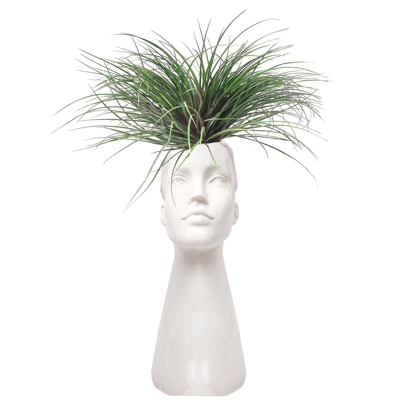 Cabeza mujer con tillandsia plano entero