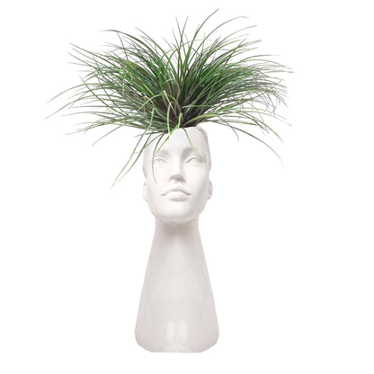 Cabeza mujer con tillandsia plano entero