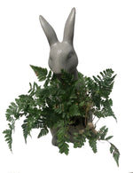 Cargar imagen en el visor de la galería, Conejo de concreto con helecho pata de conejo plano entero
