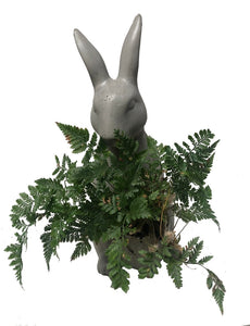 Conejo de concreto con helecho pata de conejo plano entero