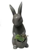 Cargar imagen en el visor de la galería, Conejo de concreto con planta en plano entero
