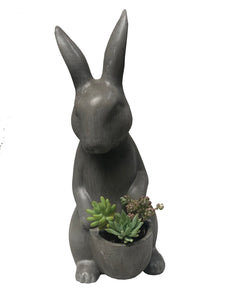 Conejo de concreto con planta en plano entero