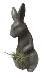 Cargar imagen en el visor de la galería, Conejo de concreto con tillandsia plano entero
