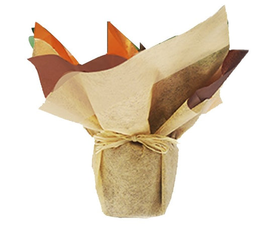 Plano entero de empaque de regalo