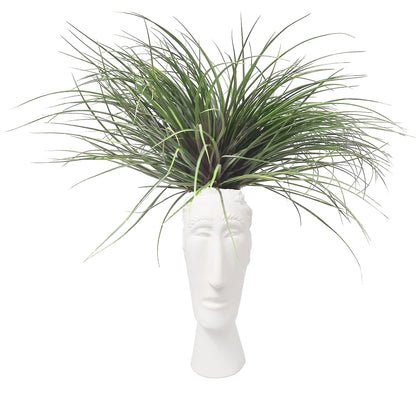 Cabeza alargada con tillandsia plano entero