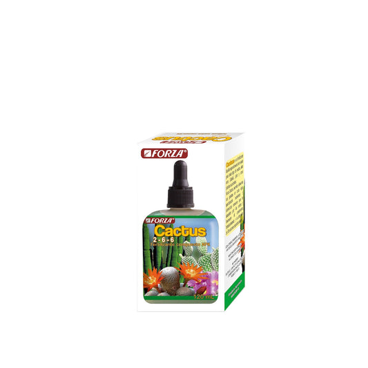 Plano entero de fertilizante para cactus y suculentas