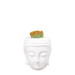 Cargar imagen en el visor de la galería, Matera buddha con suculenta naranja plano entero
