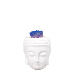 Cargar imagen en el visor de la galería, Matera buddha con suculenta azul plano entero
