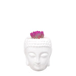 Cargar imagen en el visor de la galería, Matera buddha con suculenta fucsia plano entero
