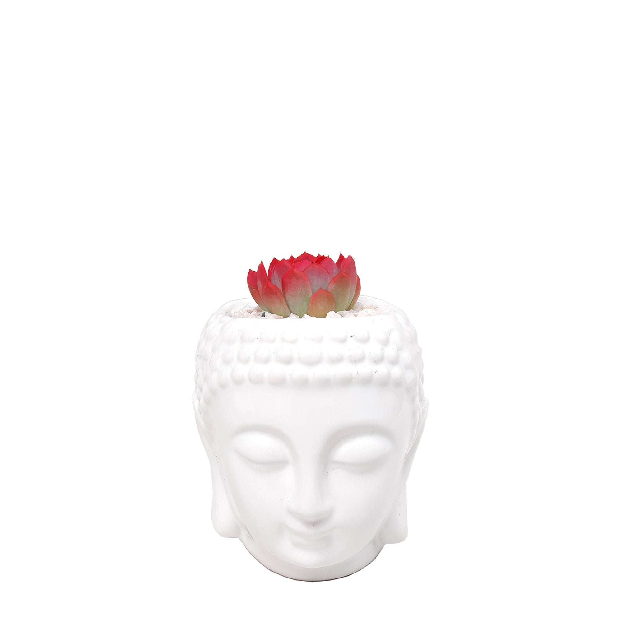 Matera buddha con suculenta roja plano entero