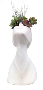 Cargar imagen en el visor de la galería, Cabeza de frente con jardin de suculentas
