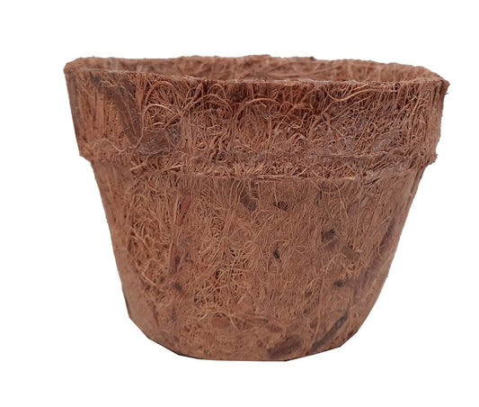 Matera fibra de coco plano entero