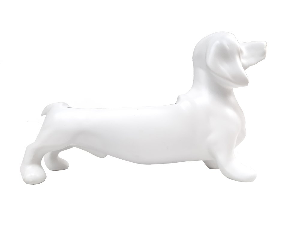 Perro salchicha sin planta