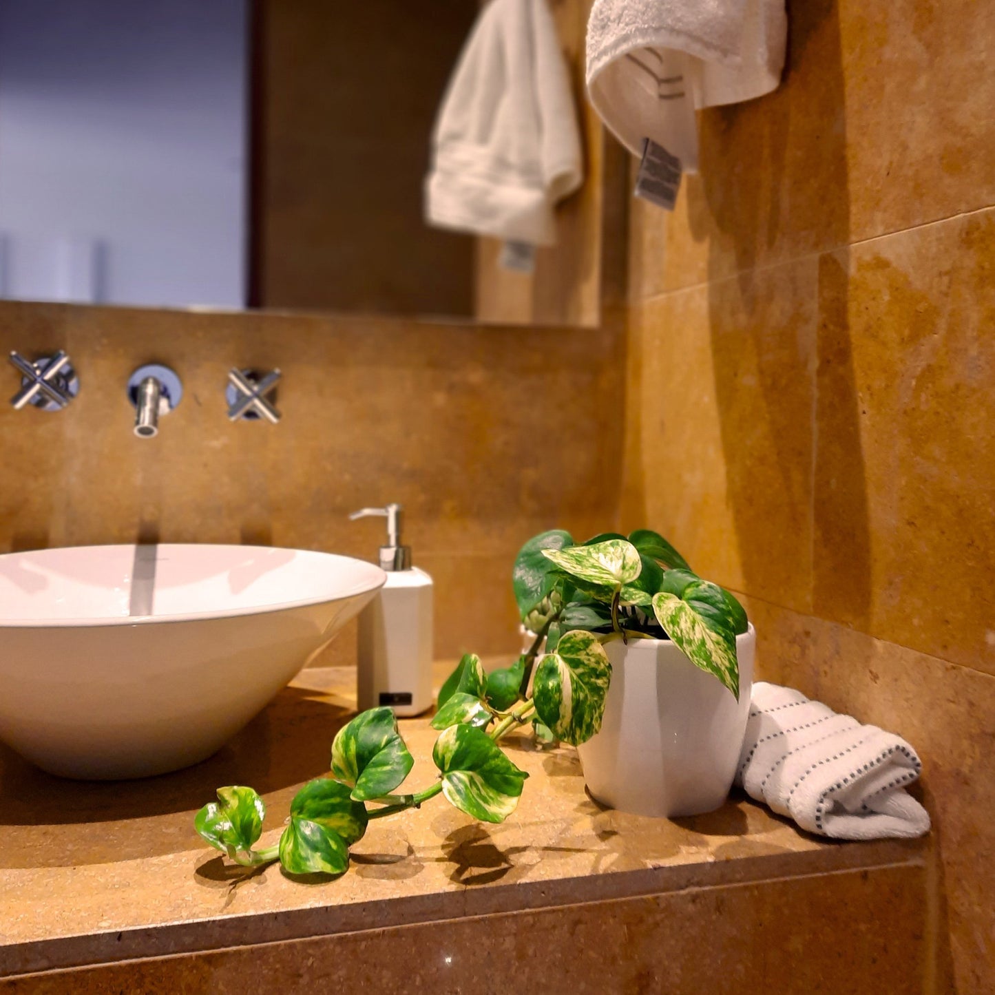 Miami foto contextual