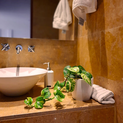 Miami foto contextual