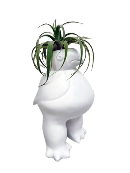 Ave Quimbaya con Tillandsia - Calyx plantas exoticas