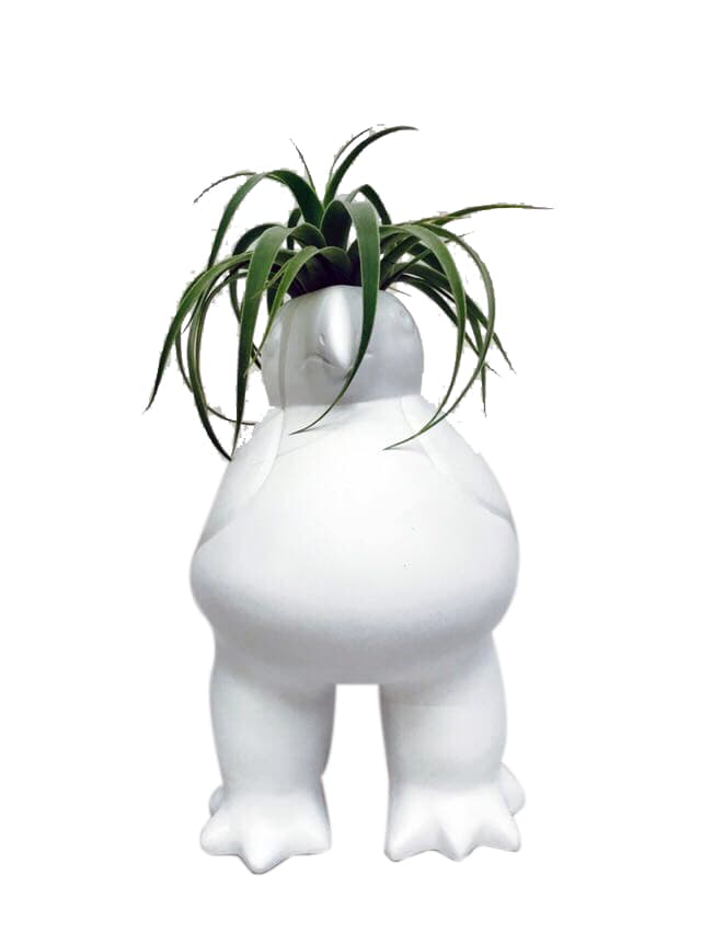 Ave Quimbaya con Tillandsia - Calyx plantas exoticas