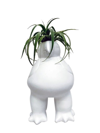 Ave Quimbaya con Tillandsia - Calyx plantas exoticas