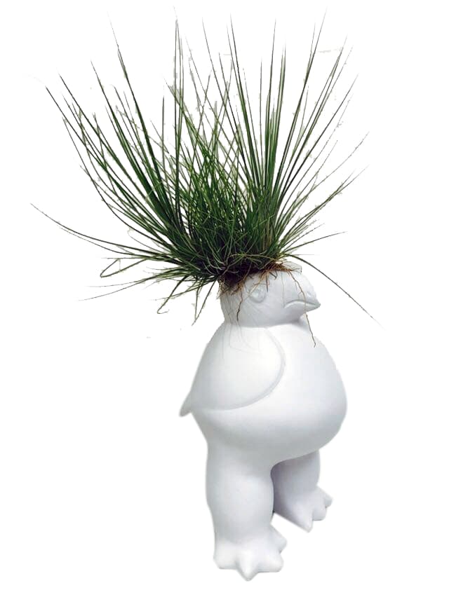 Ave Quimbaya con Tillandsia - Calyx plantas exoticas