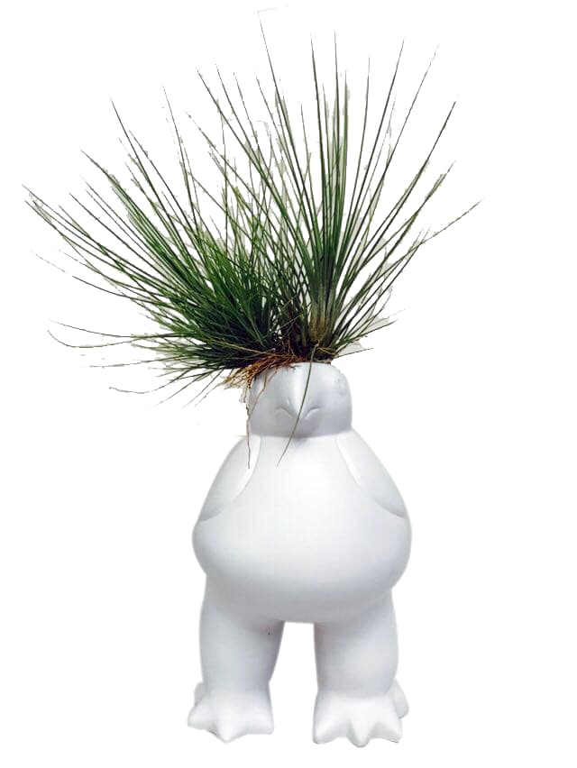 Ave Quimbaya con Tillandsia - Calyx plantas exoticas